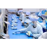 Herbal Tea Bag Supplier - Black Plum Hawthorn Plant Extract Ingredients