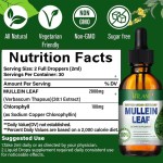 Mullein Leaf Liquid Extract Factory - Chlorophyll Drops Glass Bottle Adults
