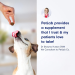 Dog Chewable Probiotics Tablets Factory - Sour Taste Meat Snack Cross-Border