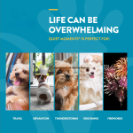 Pet Sleep Supplements Manufacturer - Soft Chewable Gummies Cross-Border Care