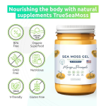 Sea Moss Gel Algae Paste Manufacturer - Food Grade Custom Processing Plant Extract