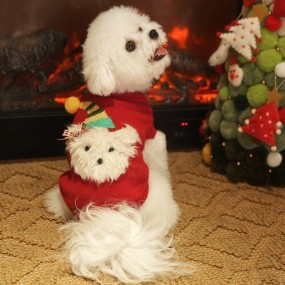 Pet Clothing Manufacturer - OEM Fashionable Christmas Design
