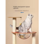 猫树生产商-现代木质剑麻多层