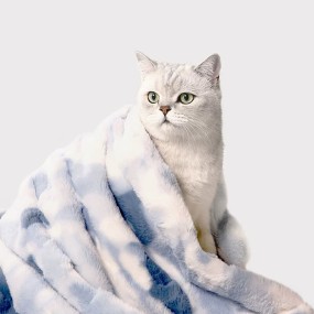 宠物毯厂家-环保法兰绒羊毛