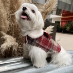 小狗服装生产商-可爱圣诞冬季