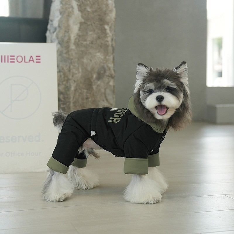 Dog Overalls Manufacturer - OEM Eco-Friendly Windproof Print