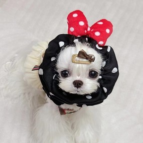 Pet Headwear Manufacturer - OEM Summer Polka Dot Bow