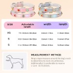 宠物项圈生产商-闪亮小型犬