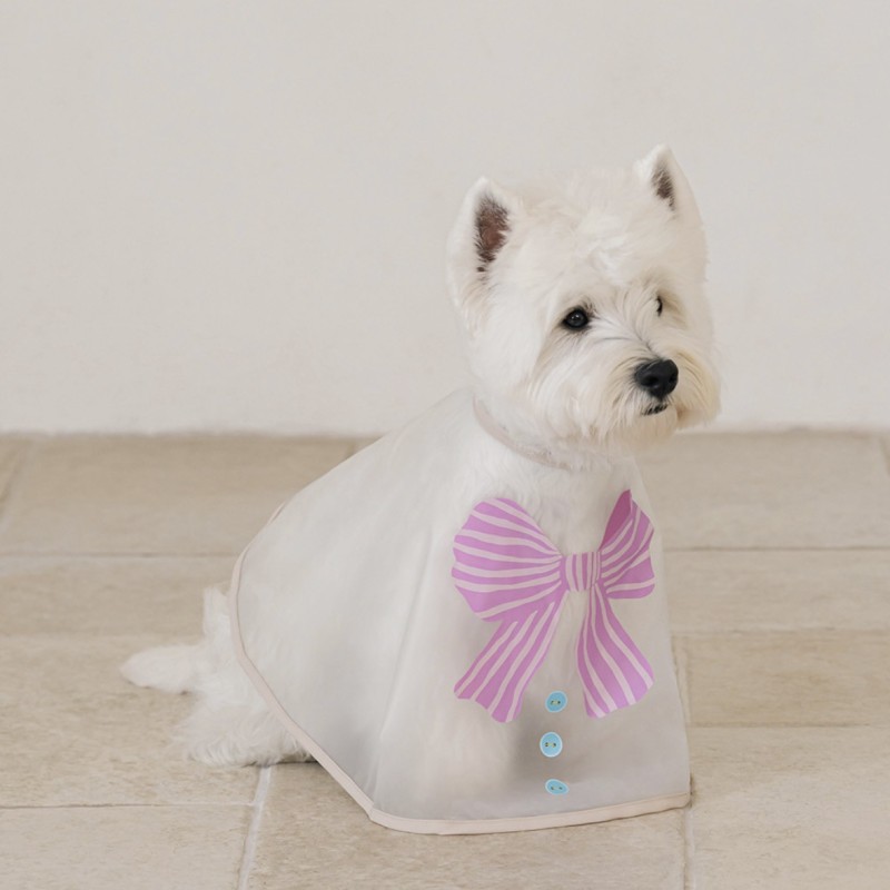 Pet Shampoo Manufacturer - OEM 2-in-1 Scented Body Wash