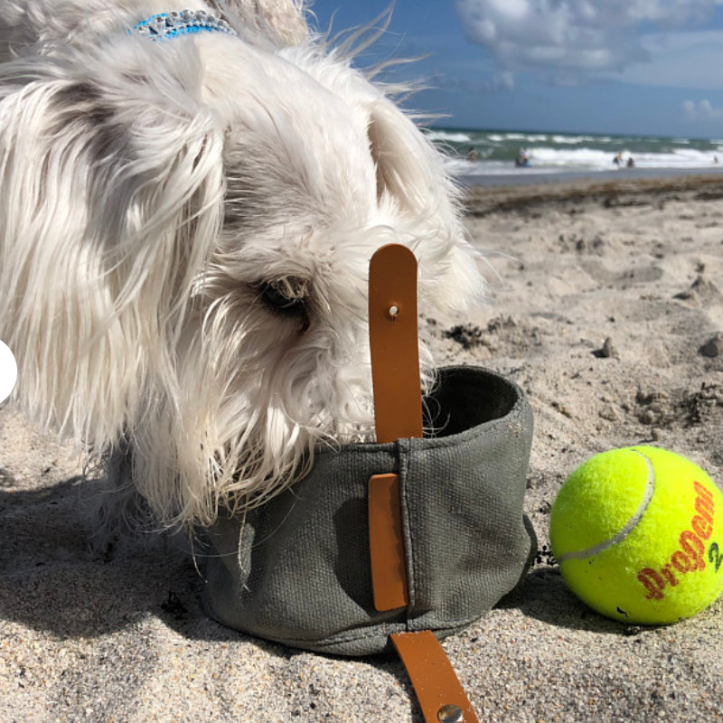 Pet Hiking Bowl Supplier - Portable Slow Feeder Waxed Canvas Waterproof