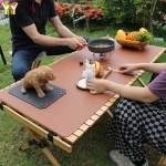 露营桌垫厂家-烧烤批发皮革可折叠野餐垫