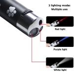 宠物激光玩具供应商-5种可调模式追逐逗棒USB
