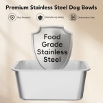 Pet Water Bowl Manufacturer - 10L Floating No Spill Leak-Proof Automatic