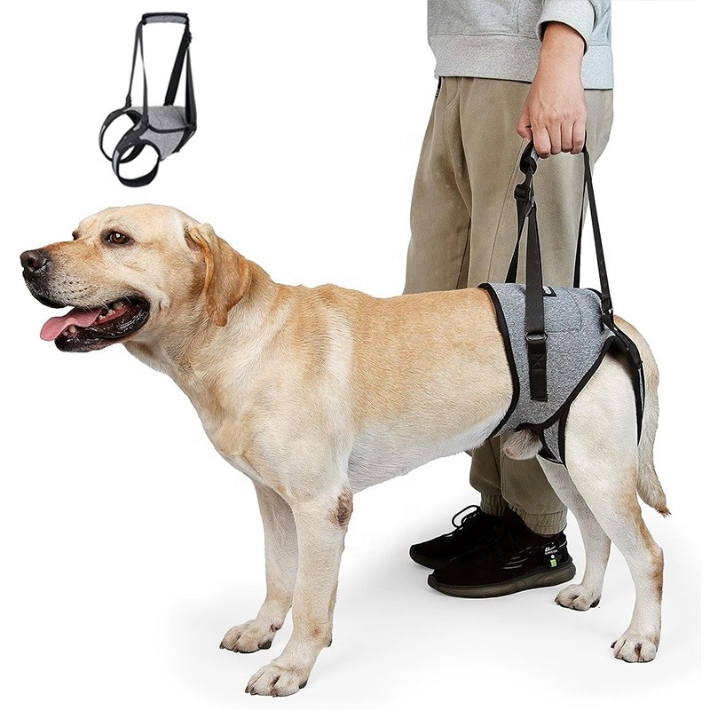 Dog Sling Harness Factory - Medium Large Adjustable Support Back Legs