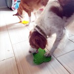 狗舔垫供应商-帮助沐浴梳理减少无聊缓食器