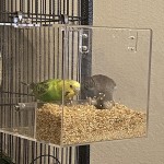 Parrot Feeder Factory - Acrylic Transparent Hanging No Mess Automatic