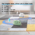 Interactive Cat Toy Supplier - Exercise Game Laser Mice Feather USB Wireless