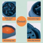 Slow Feeder Bowl Factory - Healthy Design Plastic 2 in 1 Bloat Stop