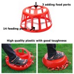Poultry Feeder Supplier - Cage Plastic Grower Trough Farms Equipment