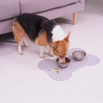 宠物喂食垫厂家-55厘米防溢柔软折叠防水硅胶