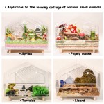 Hamster Habitat Manufacturer - Luxury Chinchillas House Big Landscaping Viewing