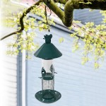 Bird Feeder Manufacturer - Expandable 2 in 1 Food Holder Squirrel Baffle