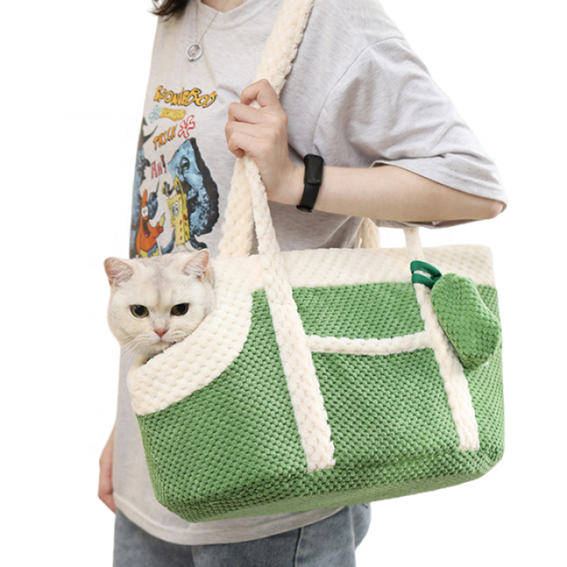Pet Travel Bag Manufacturer - Cute Portable Outdoor Hiking Soft Carrier