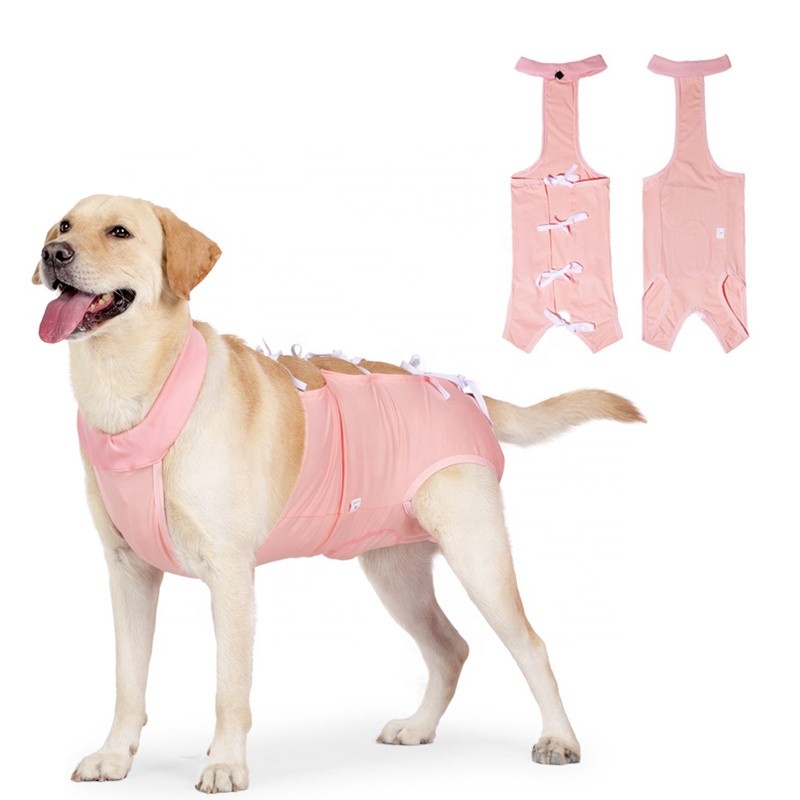 Dog Recovery Suit Supplier - Puppy Post-Operative Vest Adjustable Surgery