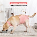 狗恢复服供应商-幼犬术后背心可调手术
