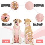 狗恢复服供应商-幼犬术后背心可调手术