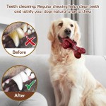 Dog Chew Toy Supplier - New Design Tough Teeth Cleaning Indestructible Large