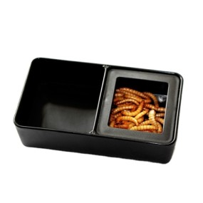 Reptile Feeder Dish Supplier - Rectangle Plastic Two-Part Water Worm Dish