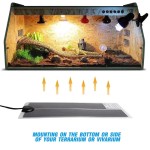 Reptile Heat Pad Supplier - 35W Temperature-Adjustable 65x28cm Small Animal