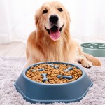 缓食器供应商-热卖健康宠物喂食器慢食盘