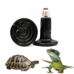 Reptile Feeder Bowl Supplier - Resin Turtle Food Water Feeding Decoration
