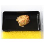 Reptile Feeder Dish Supplier - Rectangle Plastic Two-Part Water Worm Dish