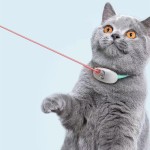 USB Cat Toy Manufacturer - New Product Wholesale LED Self Play Collar