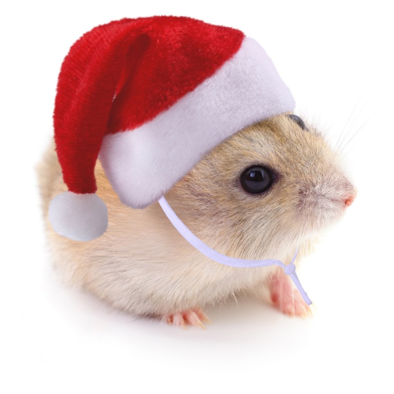 Small Animal Hat Supplier - Christmas Floral Cap Band Santa Claus Design