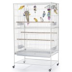 Outdoor Bird Cage Manufacturer - Hot Sale Large Aviary Black Simple Style