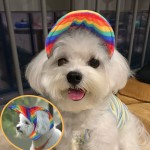 Pet Baseball Hat Factory - Rainbow Solid Polyester Outdoor Sports Travel