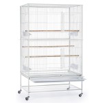 Outdoor Bird Cage Manufacturer - Hot Sale Large Aviary Black Simple Style