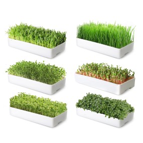 LED Grow System Factory - Indoor Garden Microgreens Hydroponic Seed Tray