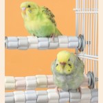 Bird Perch Factory - OEM Wooden Branches Ceramic Stand