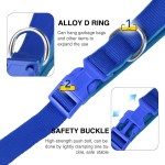 Dog Leash Manufacturer - OEM Heavy Duty Double Handle