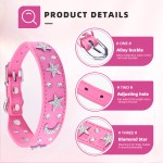 Pet Collar Manufacturer - OEM Luxury PU Leather Flashing