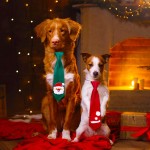 Pet Tie Manufacturer - OEM Lovely Decorative Christmas