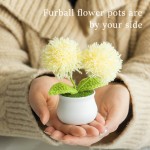 Crochet Plant Factory - OEM Ball Potted Dandelion Bouquet