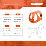 Pet Harness Factory - OEM Custom Logo Breathable Vest