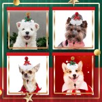 Pet Hat Factory - OEM Adjustable Headdress Christmas