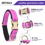 Dog Collar Factory - OEM Heavy-duty Reflective Neoprene